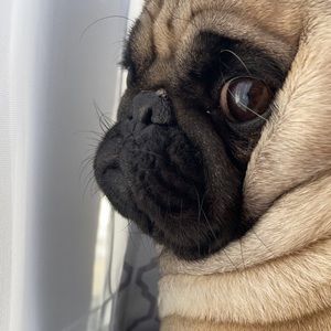 Meet your Posher, Mariah